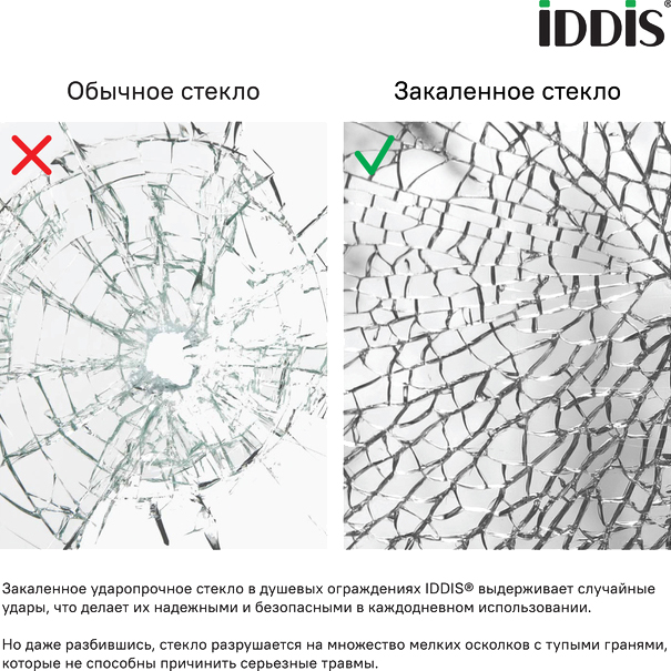 Душевая дверь в нишу IDDIS Ray RAY6CP9i69 90 см