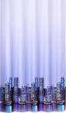 Душевая шторка Iddis City (210P24RI11) 240x200
