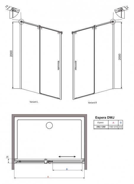Душевая дверь RADAWAY ESPERA DWJ 200x120 (380112-01R) R