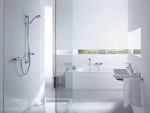 Hansgrohe Ecostat S