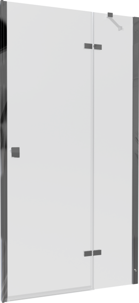 Душевая дверь в нишу Triton Бруно Щ0000053750 100 см