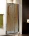Душевая дверь RADAWAY TREVISO DW 190x100 (32323-01-08N) - фото №1
