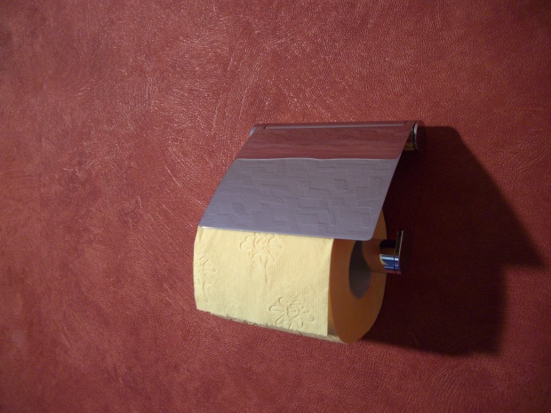 Держатель туалетной бумаги Keuco Plan (14960 010000) с крышкой
