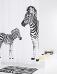 Душевая шторка Ridder Zebra (42311) 180x200 - фото №2