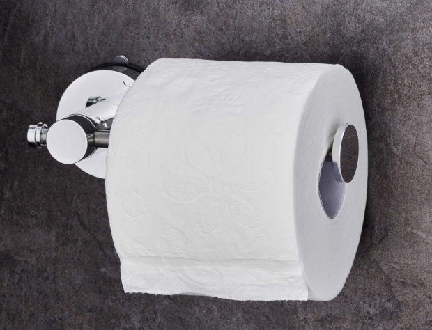 Держатель туалетной бумаги Ridder Без серии (12106100)